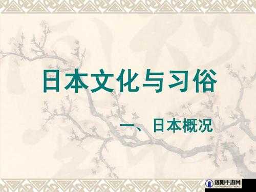 jjzZ 日本人以及他们的文化习俗与生活方式探讨