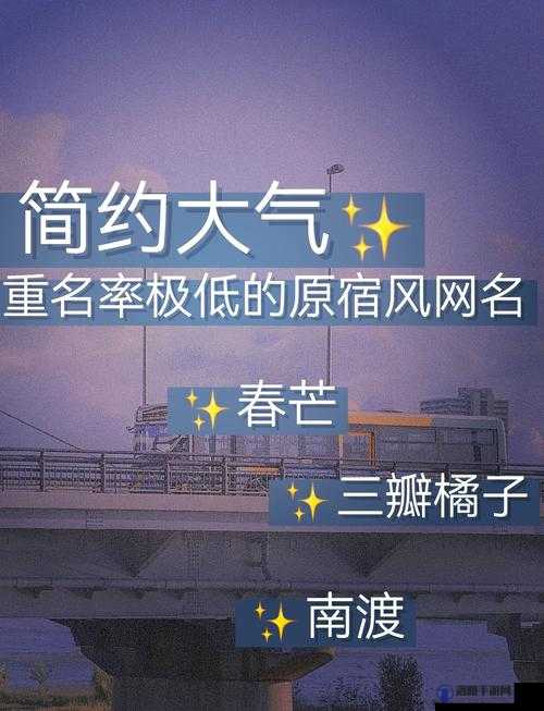 四虎海外网名 2023：探索独特网名背后的神秘世界