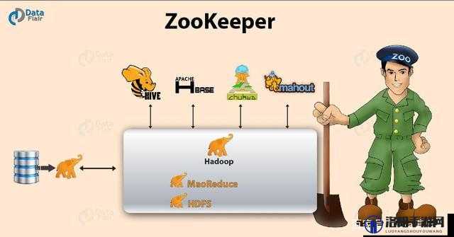 ZoomZookeeper：引领精彩在线互动新潮流