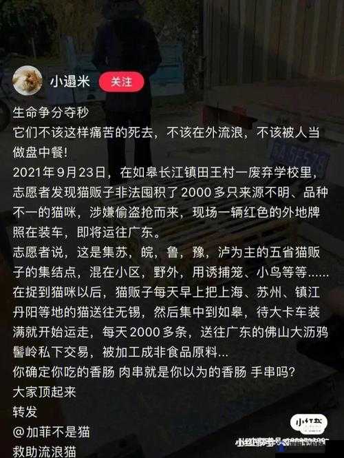 南京疫情中引发众怒的浓毛老太相关事件