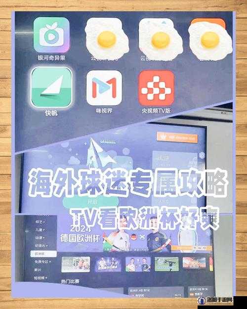 杏色直播 app 安装：畅享精彩直播世界